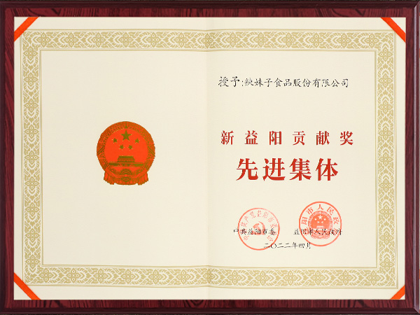 新益陽貢獻獎先進集體2022
